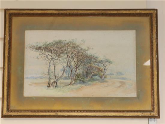 Keeley Halswell Trees in Lancaster and coastal scenes largest 9 x 14in.